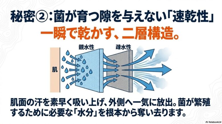 肌面の汗を素早く吸い上げる親水性と外側へ放出する疎水性の二層構造による速乾メカニズムの図解。