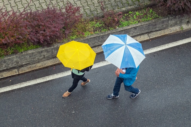 「モンベルの傘は壊れやすい」は本当?口コミと事実を検証