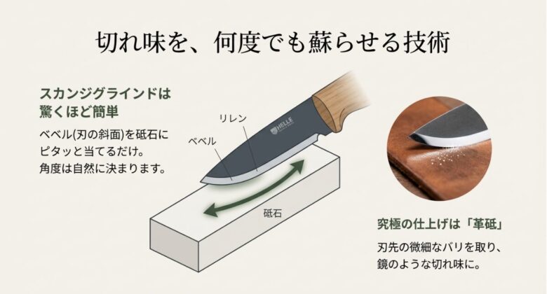 砥石にベベル（斜面）を密着させて研ぐ図解と、バリを取って鏡面仕上げにする革砥（ストロップ）の紹介