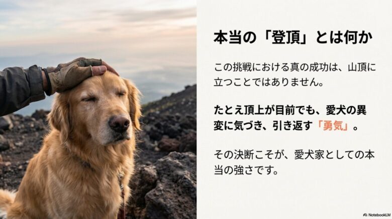 愛犬を撫でる手と、異変に気づき引き返す勇気が真の成功であることを伝えるイメージ。