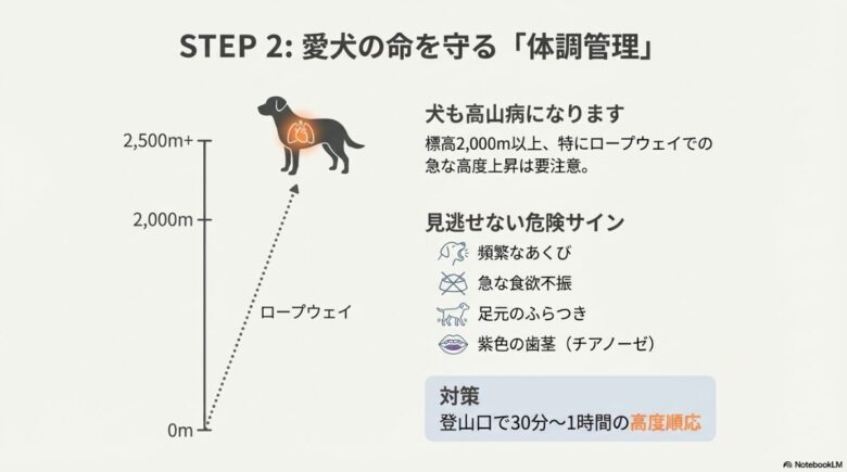 標高2,000m以上での高度上昇の注意点と、あくびやチアノーゼなどの危険サイン、登山口での休憩（高度順応）を解説する図解
