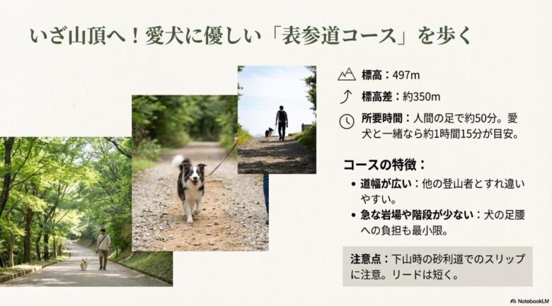 標高497mの宝登山表参道コースの所要時間や、道幅が広く犬に優しい特徴をまとめたスライド