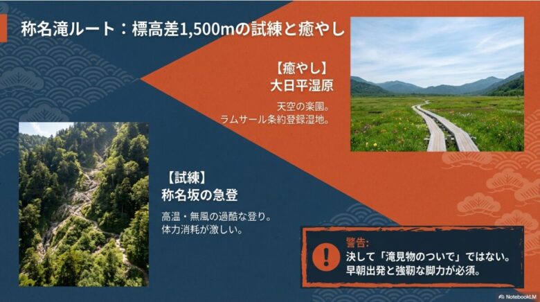 標高差1,500mの試練である称名坂の急登と、ラムサール条約登録湿地である大日平の対比